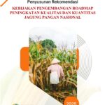 Kebijakan pengembangan Roadmap Peningkatan Kualitas Jagung dan Kuantitas Jagung Pangan Nasional